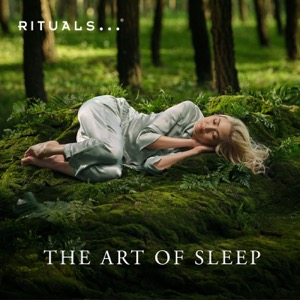 The Art of Sleep