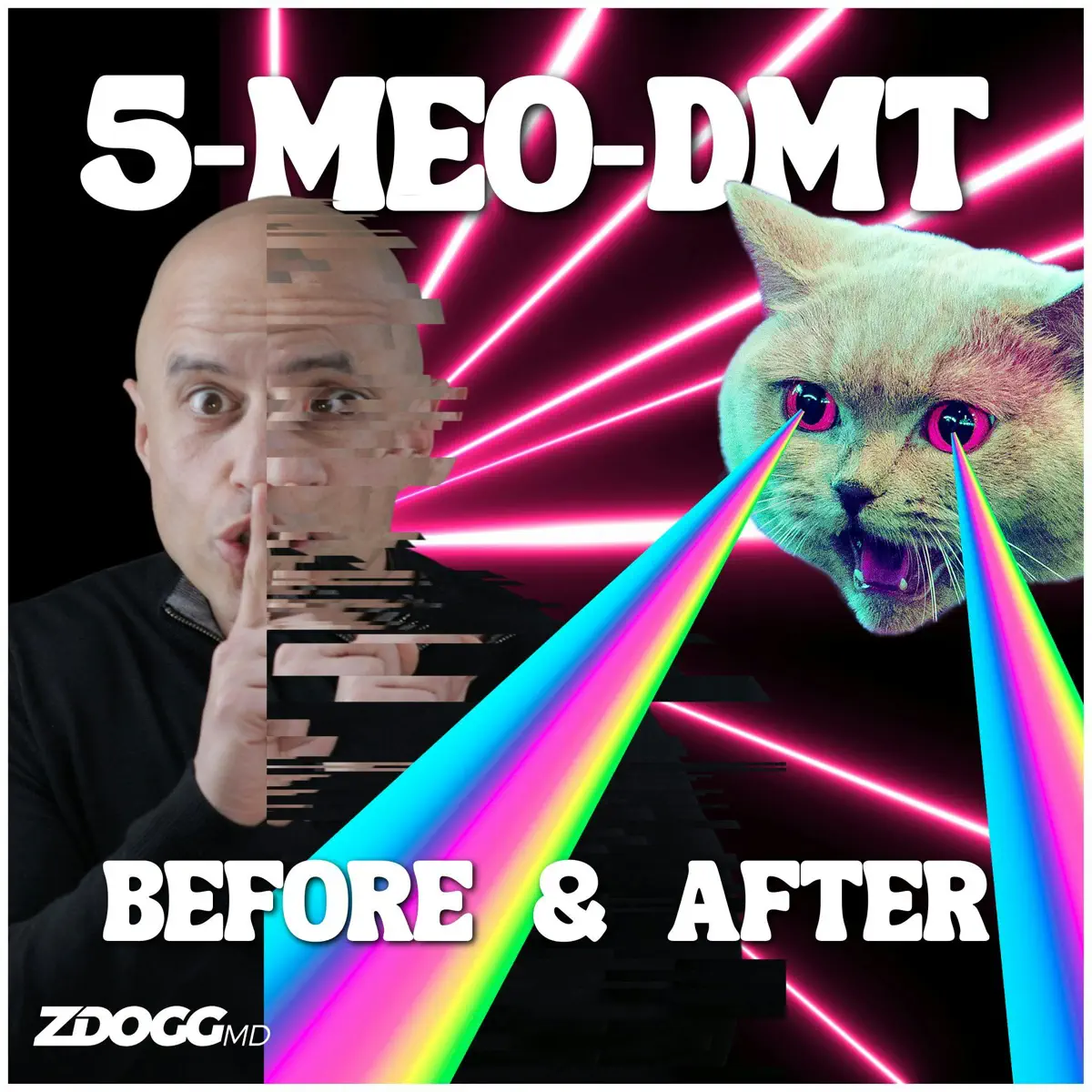 elfbar elfa master akku My Psychedelic UnJourney (w/Mi… - The ZDoggMD Show