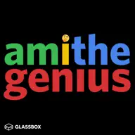 Am I the Genius? artwork