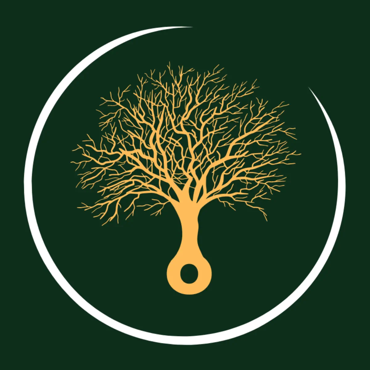 Bitcoin For Professionals - Podcast - Apple Podcasts