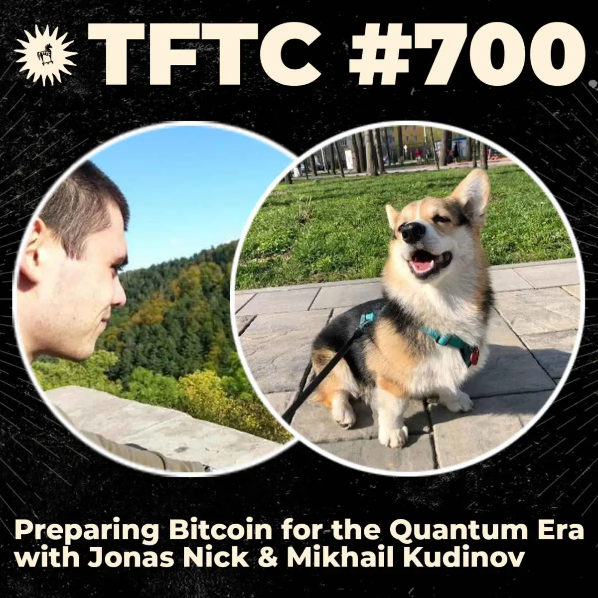TFTC: A Bitcoin Podcast - Podcast - Apple Podcasts