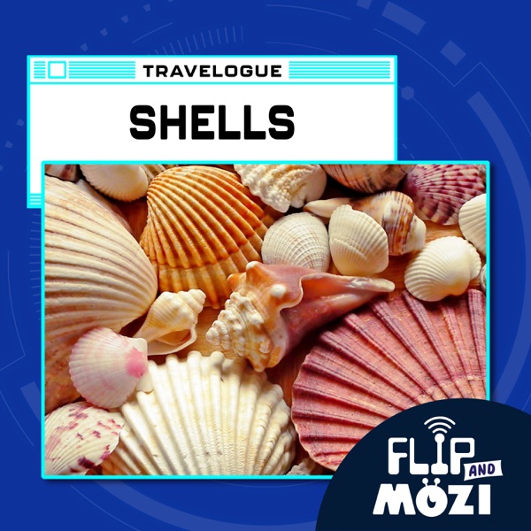 Travelpod: Shells (8/24/23) photo