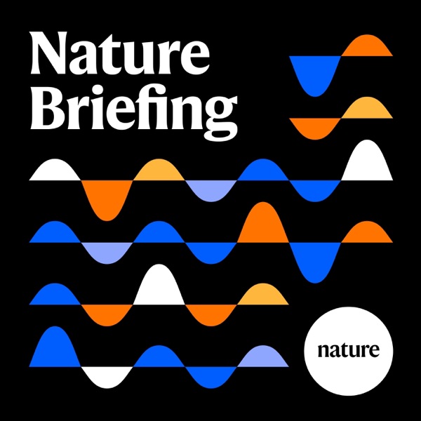 Briefing Chat: Can't focus? It's not your attention span, it's your notifications