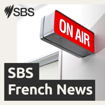 La semaine politique du 09/09/2025 : Polémique sur les filets contre les requins La semaine politique du 09/09/2025 : Polémique sur les filets contre les requins