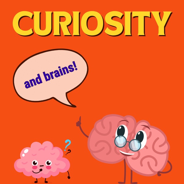 What Does Curiosity Really Do To Our Brains? photo