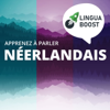 Apprendre le néerlandais avec LinguaBoost - LinguaBoost