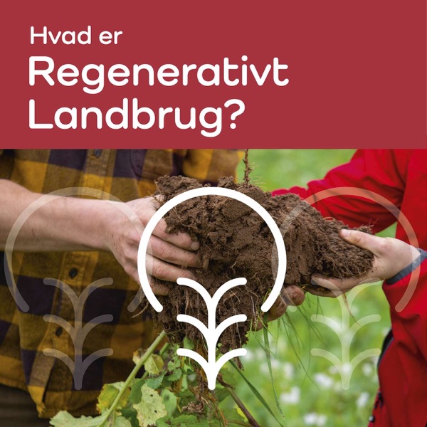 Hvad er regenerativt landbrug? Agronomens bud og fokus på jordens kulstofindhold - 3:8 - ØKO-LYD