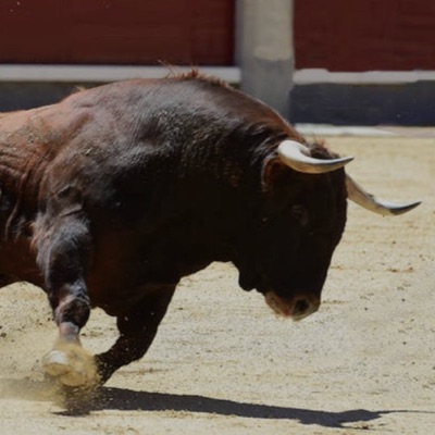 做龚牛-牛论几句，不AI吹