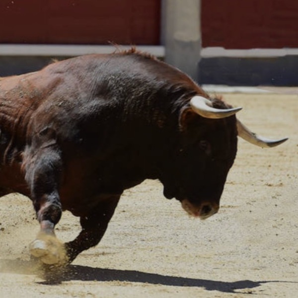 做龚牛-牛论几句，不AI吹