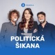 Politická šikana