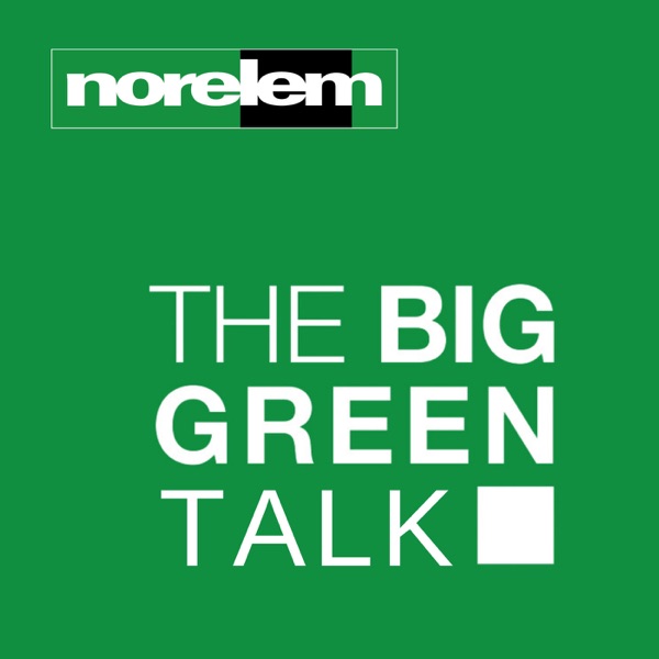 THE BIG GREEN TALK cover art