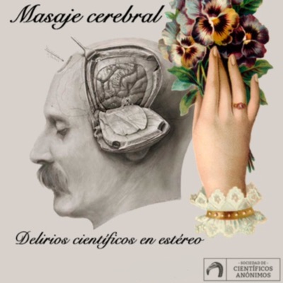 Masaje cerebral Masaje cerebral
