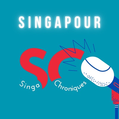 Singa Chroniques - Singapour - Conseils pour expatriés Français