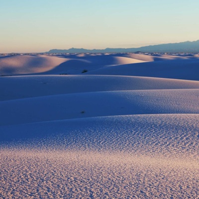 JFK: Down the Rabbit Hole:Jfkdowntherabbithole