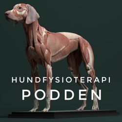 Hundfysioterapipodden