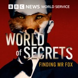 Finding Mr Fox: 2. In the doldrums