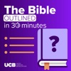 The Bible in 30 Minutes
