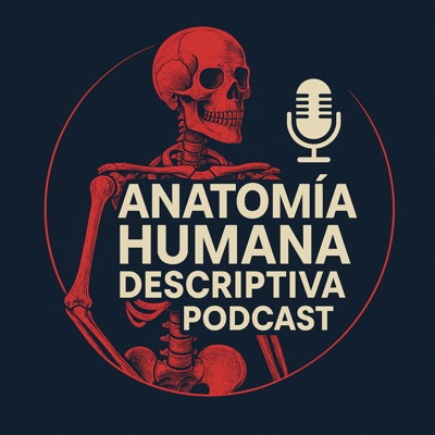 Anatomia humana para principiantes Anatomia humana para principiantes
