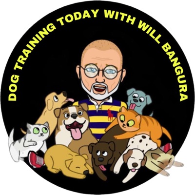 10 Critical Mistakes That Sabotage Your Dog Training (And How to Fix Them) 10 Critical Mistakes That Sabotage Your Dog Training (And How to Fix Them)