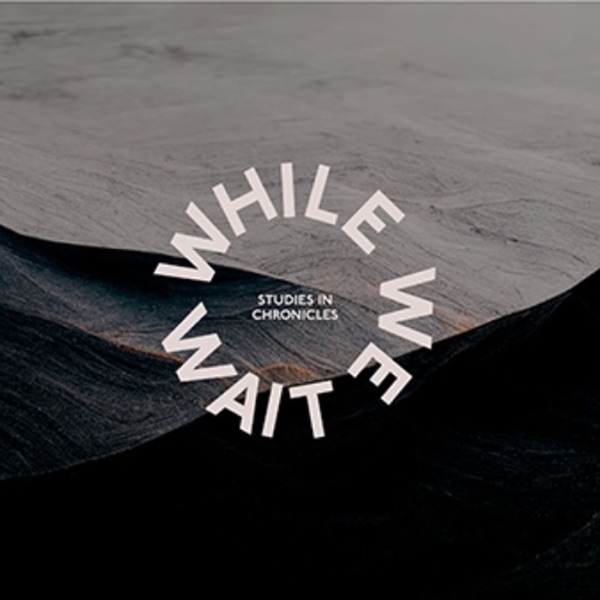 While We Wait | Chronicles 15:25-28 photo