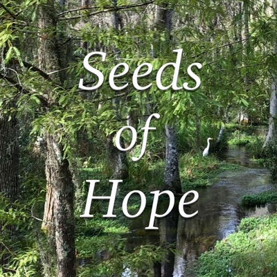 Seeds of Hope: Talks and Homilies by Fr. Mike Muhr