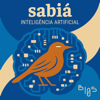 SABIÁ: inteligência artificial à brasileira - BI0S - Brazilian Institute of Data Science