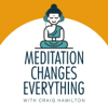 Meditation Changes Everything - Craig Hamilton