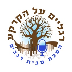 בנגב ייבחן העם בישראל - אז מה בתכל'ס?