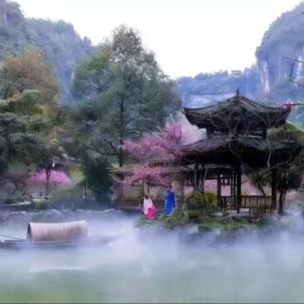 亲子、情感、成长