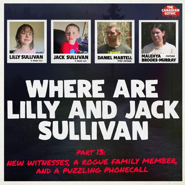 Where are Lilly and Jack Sullivan - Part 13: New Witness Reports, a rogue family member, and a puzzling phone call photo