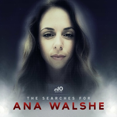 The Searches for Ana Walshe:NBC10 Boston, Matt Fortin