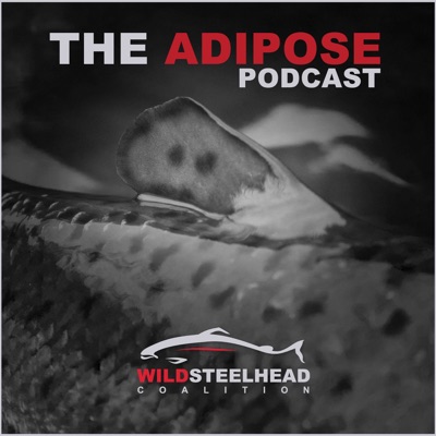 The Adipose The Adipose