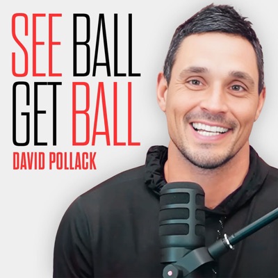 See Ball Get Ball with David Pollack:David Pollack