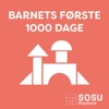Barnets første 1000 dage
