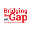 Bridging The Gap - Utah Behavior Services