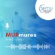 MURmures - SFMU Jeunes