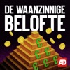 De waanzinnige belofte