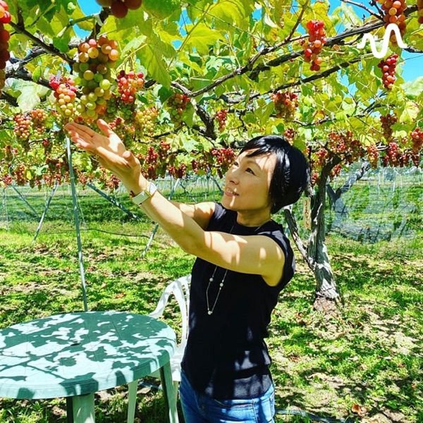 よもぎ蒸し30年のよもぎの女王のお部屋