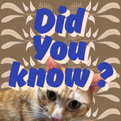 嘿你知道嗎's Podcast