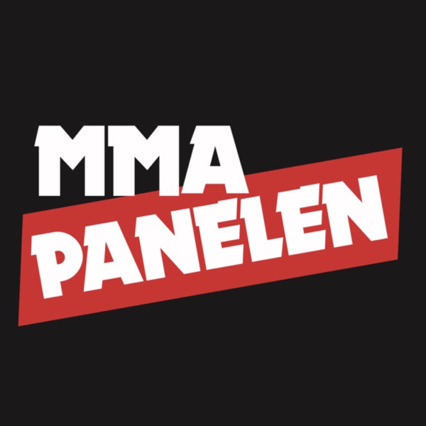 MMAnytt-Panelen