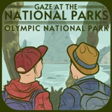 130- Quinault Loop: Olympic National Park