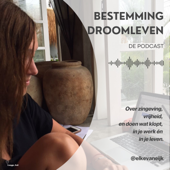 Bestemming Droomleven
