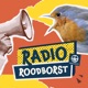 Radio Roodborst