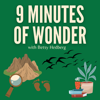 9 Minutes of Wonder - Betsy Hedberg