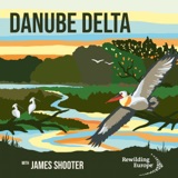 #14 - Danube Delta - Ukraine 🇺🇦 & Romania 🇷🇴