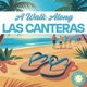A Walk Along Las Canteras