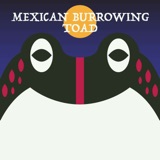 Mexican Burrowing Toad | Week of OcTOADber 9th