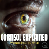 Cortisol Explained