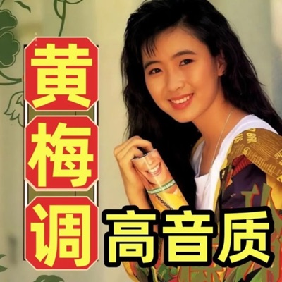 港台音乐精选【黄梅调】【高音质】
