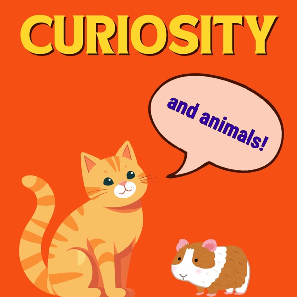 Can Pets Be Curious? How About Wild Chimps? photo